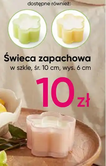 Pepco Świeca zapachowa oferta