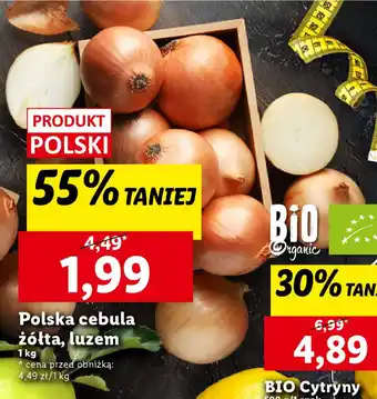 Lidl Polska cebula żółta, luzem oferta