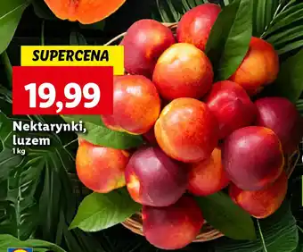 Lidl Nektarynki, luzem oferta