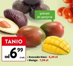 Intermarche Mango oferta