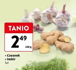 Intermarche Czosnek oferta