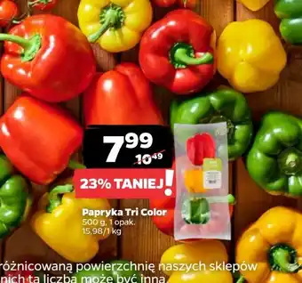 Netto Papryka tricolore oferta