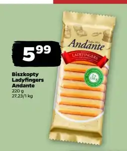 Netto Biszkopty lady fingers Andante oferta