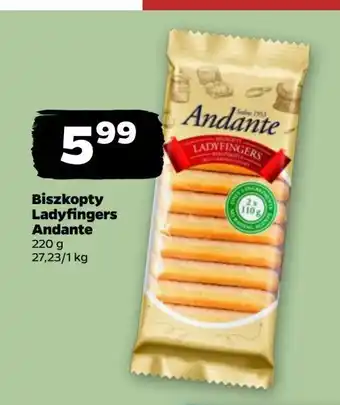 Netto Biszkopty lady fingers Andante oferta