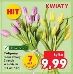 Kaufland Tulipany oferta