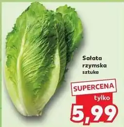 Kaufland Sałata rzymska oferta