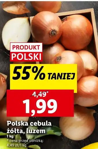 Lidl Cebula żółta polska oferta