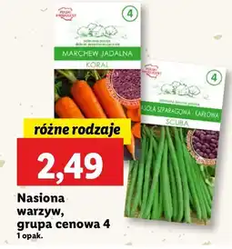 Lidl Fasola szparagowa zielona oferta