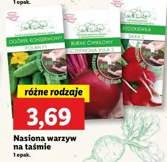 Lidl Rzodkiewka oferta