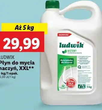 Lidl Płyn do naczyń miętowy Ludwik oferta