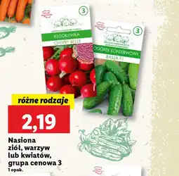 Lidl Nasiona ziół, warzyw lub kwiatów, grupa cenowa 3 oferta