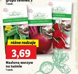 Lidl Nasiona warzyw na taśmie oferta