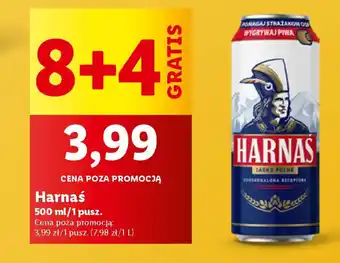 Lidl Harnaś oferta