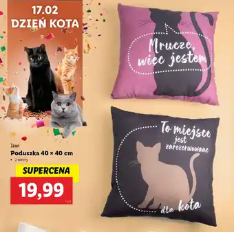 Lidl Jawi Poduszka oferta