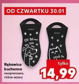 Kaufland Rękawica kuchenna oferta