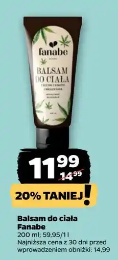 Netto Balsam do ciała konopie Fanabe oferta