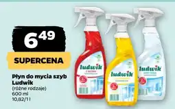 Netto Płyn do szyb i luster anty para Ludwik oferta