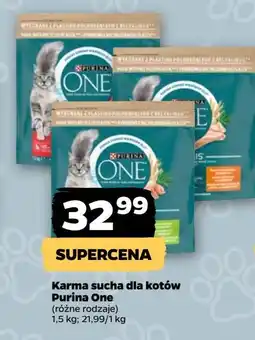 Netto Karma dla kota indoor Purina One oferta