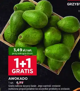 Stokrotka Awokado oferta