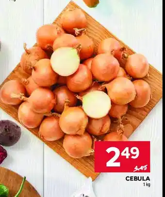 Stokrotka Cebula oferta