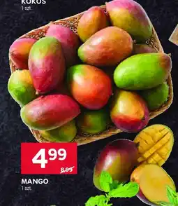 Stokrotka Mango oferta