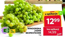 Stokrotka Winogrona jasne oferta