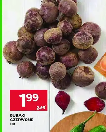 Stokrotka Buraki czerwone oferta