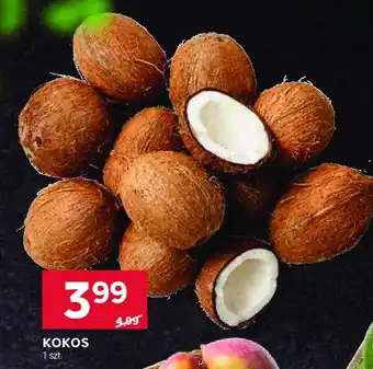 Stokrotka Kokos oferta