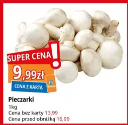 E.Leclerc Pieczarki oferta