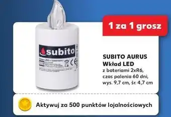 Kaufland Wkład led 30 dni biały Subito oferta