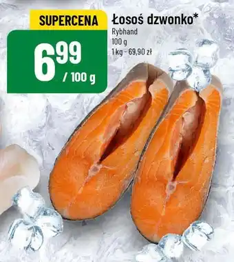 Polomarket Łosoś dzwonko oferta