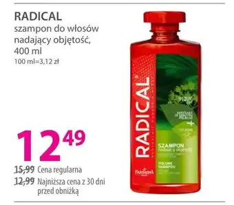 Hebe Szampon Radical oferta