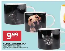 Stokrotka Market Kubek oferta