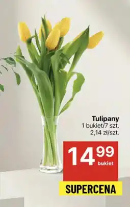 Delikatesy Centrum Bukiet tulipanów Tulipany oferta