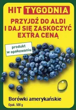 ALDI Borówka amerykańska oferta