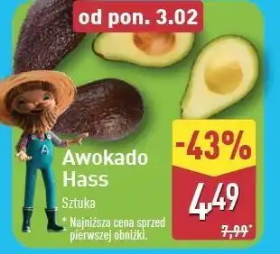 ALDI Awokado hass oferta