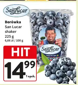 Intermarche Borówki Sanlucar oferta