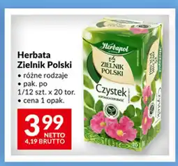 Makro Herbata Zielnik Polski oferta