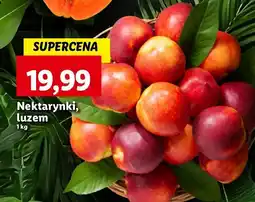 Lidl Nektarynki oferta