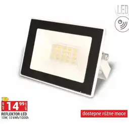 Merkury Market Reflektor LED oferta