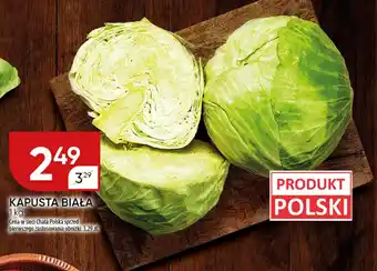 Chata Polska Kapusta biała oferta