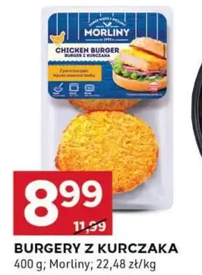 Stokrotka Optima Burgery Morliny oferta