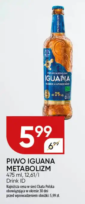 Chata Polska Piwo iguana metabolizm Drink ID oferta