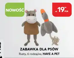 AquaelZOO Zabawka dla psa Have a Pet oferta