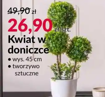 Agata Meble Kwiat oferta