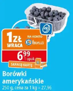 E.Leclerc Borówki amerykańskie oferta