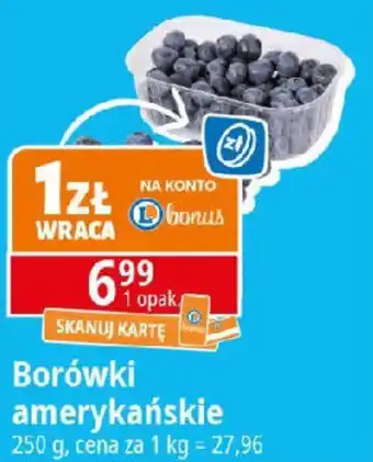 E.Leclerc Borówki amerykańskie oferta