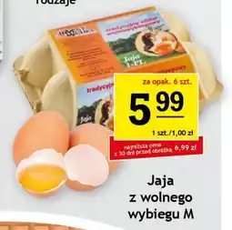 Gram Market Jaja z wolnego wybiegu M oferta