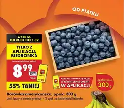 Biedronka Borówki amerykańskie oferta