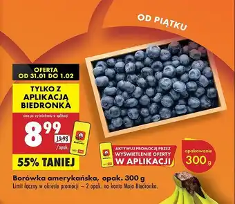 Biedronka Borówki amerykańskie oferta